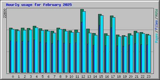 Hourly usage for February 2025